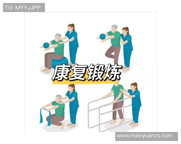 体能训练全程解析从基础热身到恢复方法的完整指南