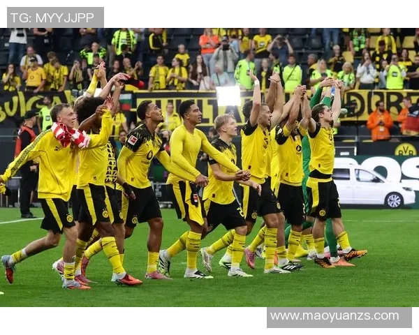 多特蒙德胜率预测分析 数据模型为你揭示球队未来表现